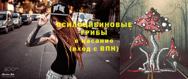 эйфоретик Куйбышев