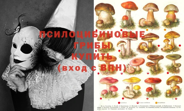 эйфоретик Куйбышев