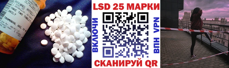 hydra онион  хочу наркоту  Светогорск  LSD-25 экстази ecstasy 
